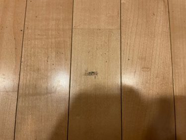 フローリング・えぐれ傷補修 | 東京都港区